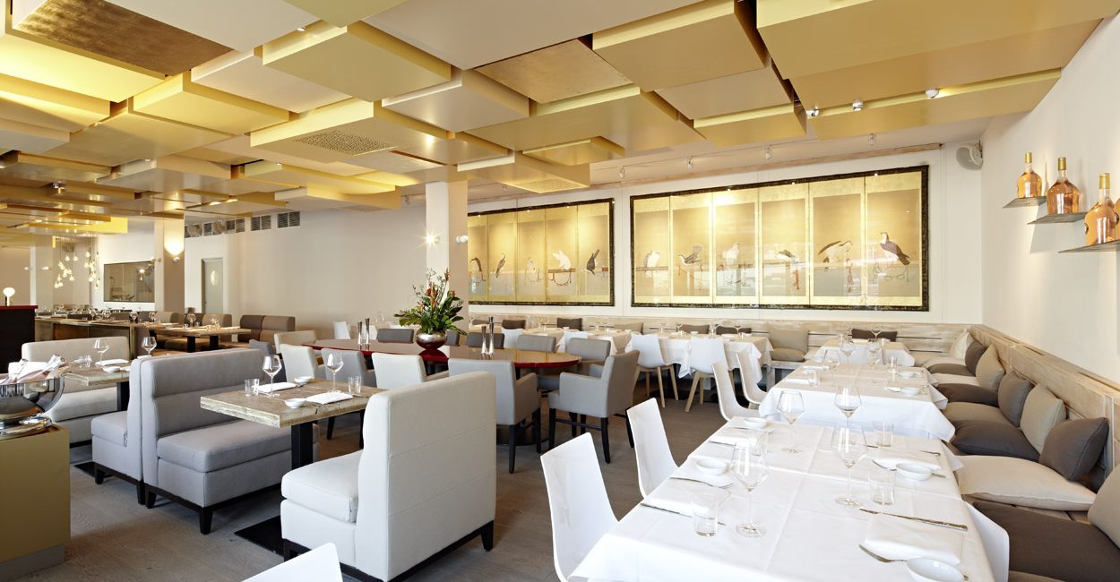 Restaurant Restaurant Hamburg HafenCity Strauchs Falco Mediterran